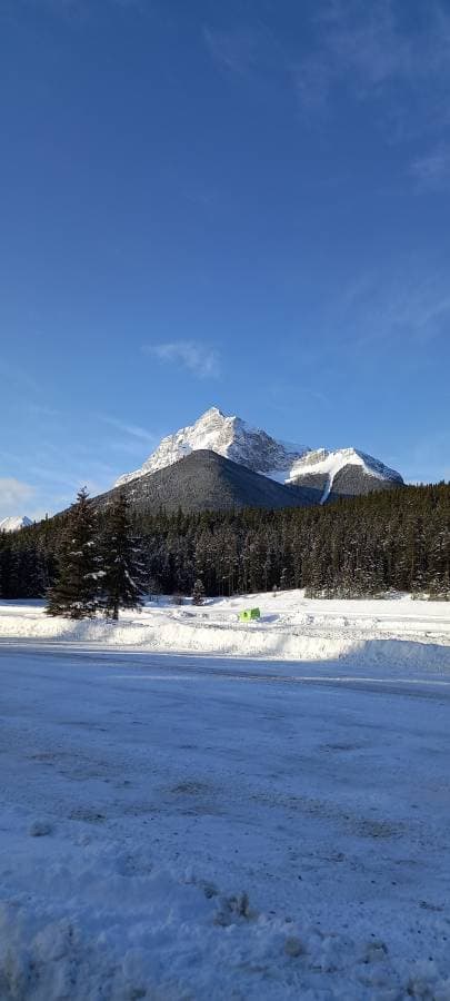Photo 2 by Lisa P. about renting a Nissan Versa in Calgary (3/19/23)