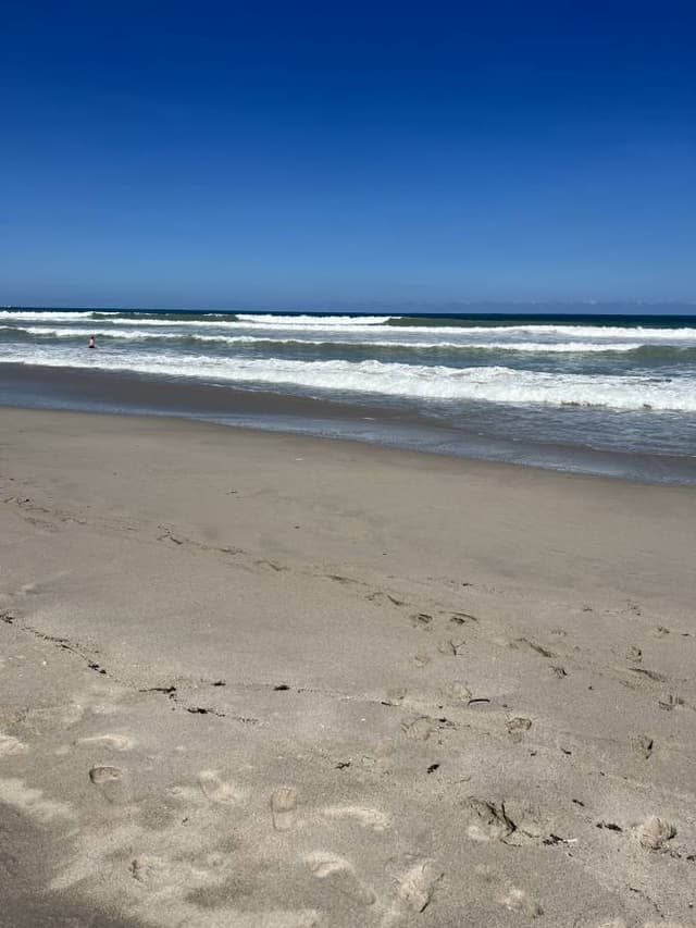 Photo by Orrin H. (10/12/22)