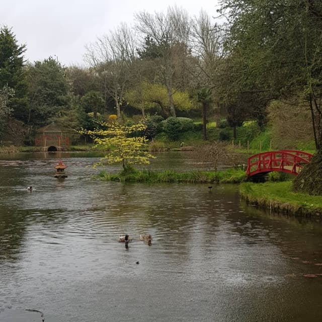 Photo 1 by Adrian B. (4/14/23)