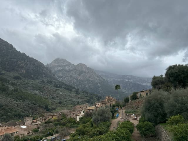 Photo 2 by Adrian K. (2/15/25)