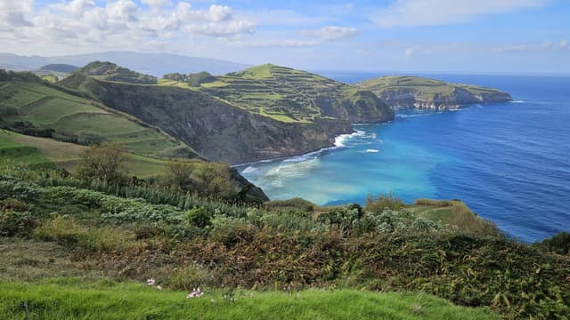 Photo 3 by Isabella V. (10/30/24)