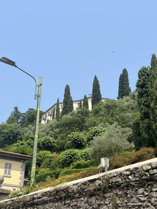 Fotografia 1 realizată de Mihai G. (19.06.25)