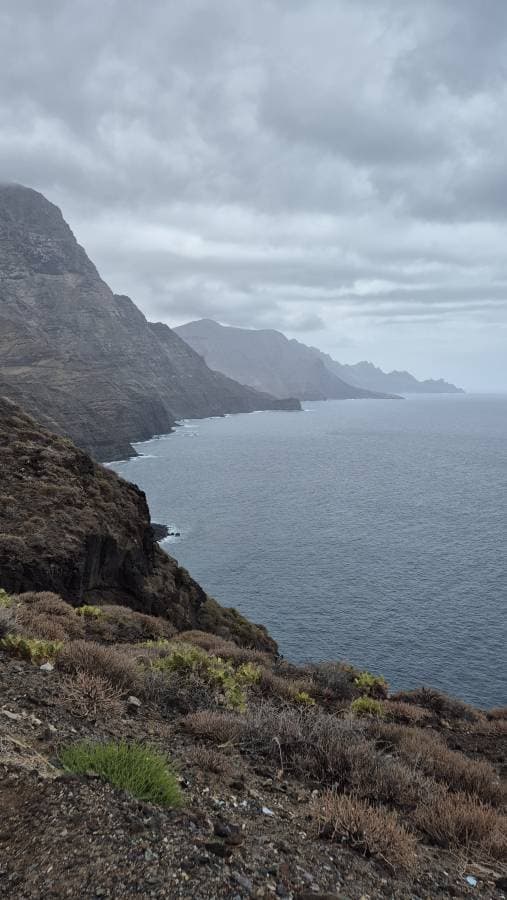 Photo by Bernhard N. (9/10/24)