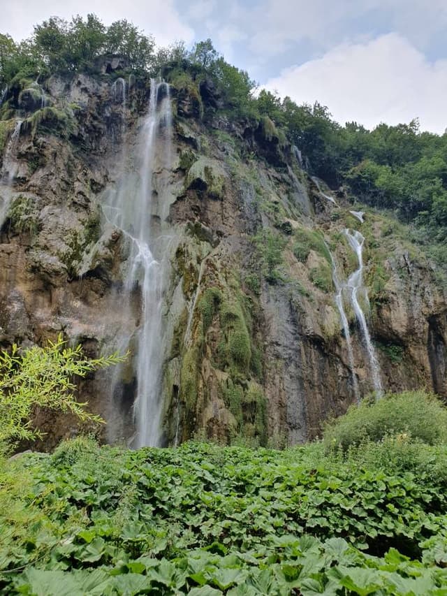 Henkilön Rauno T. kuva 1 (28.7.24)