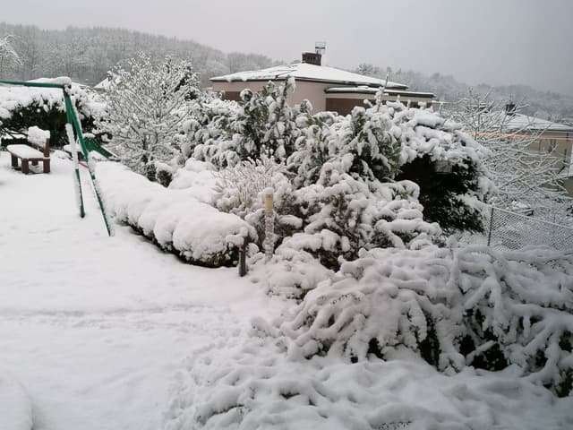 Photo 1 by Pawel W. (12/30/23)