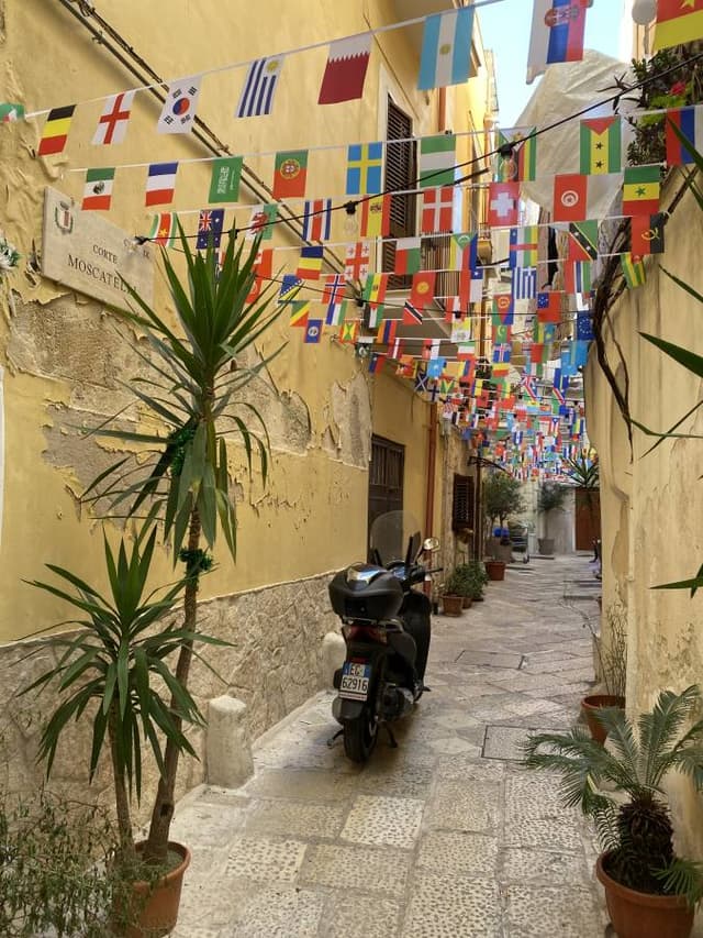 Photo 3 by Marius Alin F. (1/5/24)