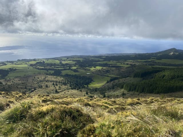 Photo 1 by Ye F. (3/6/25)