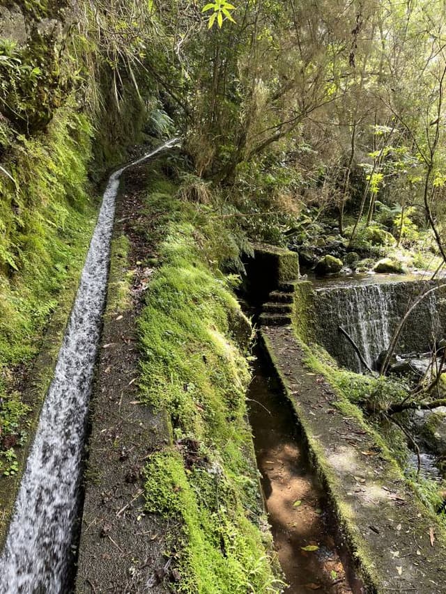 Photo 1 by Kenneth D. (3/13/25)