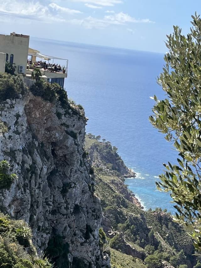 Photo 2 by Andrea M. (4/28/24)