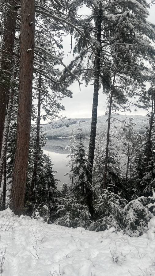 Photo 2 by Morgan R. about renting a Nissan Sentra in Ottawa (12/20/22)