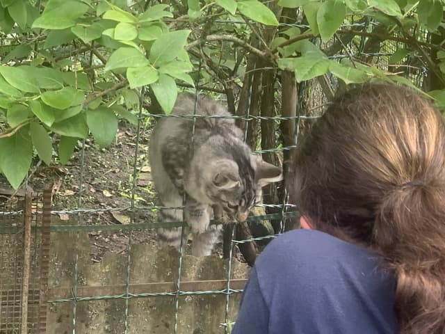 Foto 1 di Joe O. (05/08/24)