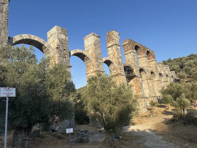 Photo by Anne W. (8/11/25)