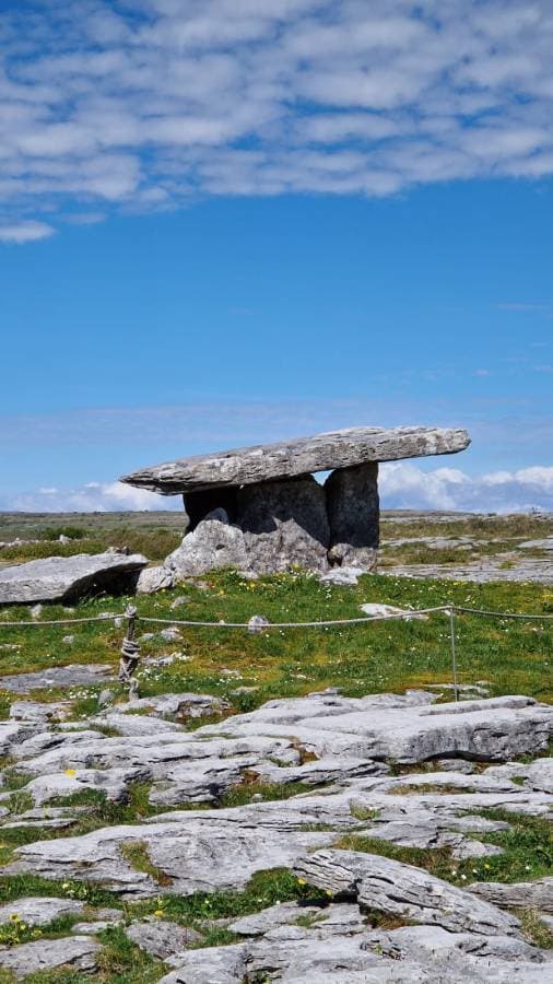 Photo 3 by Catalin C. (5/11/24)