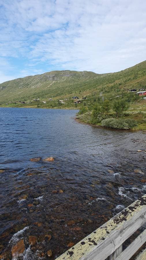 Photo 1 by Ravi S. (9/9/23)