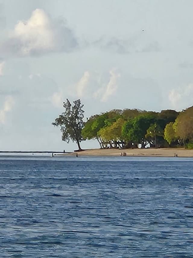 Photo 2 by Vick Purmeswur R. about hiring a Suzuki Vitara in Plaisance (02/12/25)