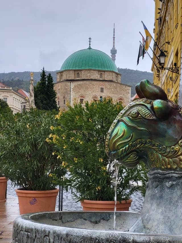 Photo 2 by Carson G. (10/10/25)