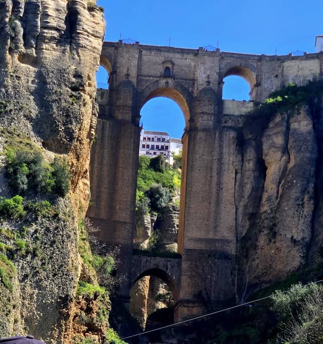 Photo 2 by Catherine S. (3/29/26)