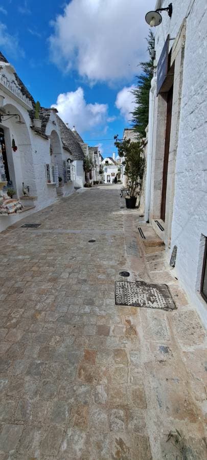 Photo 3 by Radoslav B. (3/12/24)