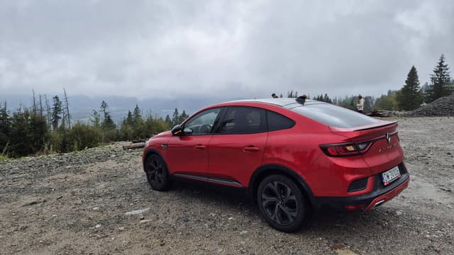 Photo by Shlomi F. (10/7/24)