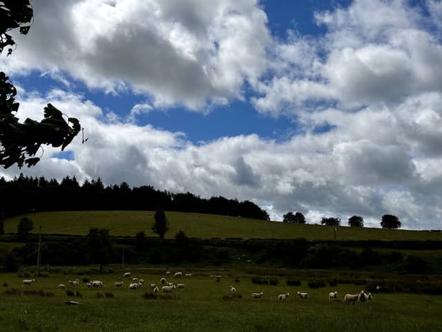 Photo 2 by Ping Wah Andy I. (7/7/24)