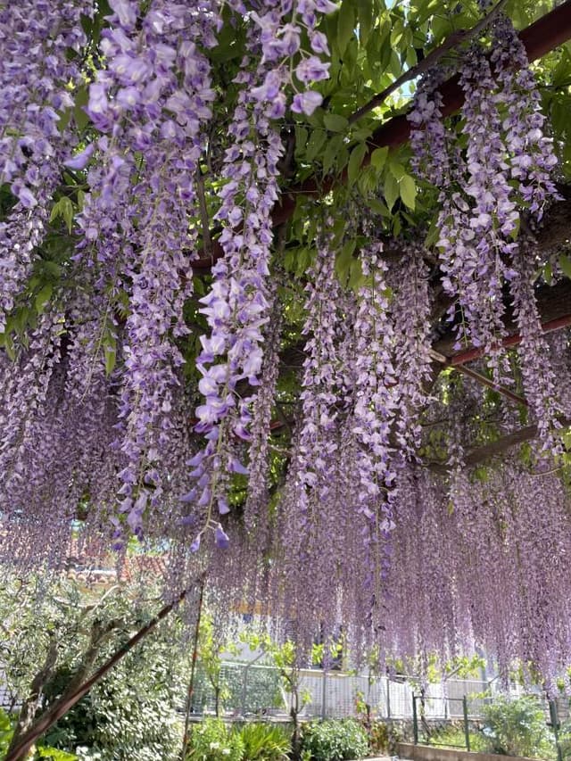 Fotografija 5 autora Dario L. (05. 05. 25.)