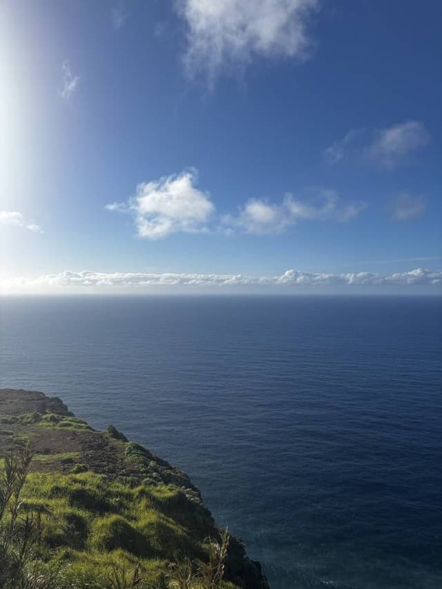 Photo 1 by Adam C. (2/17/25)