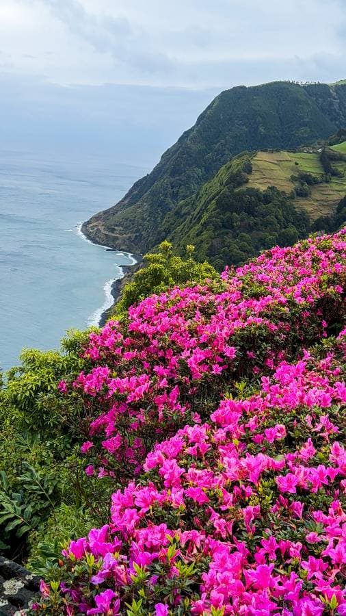 Photo 3 by Krzysztof P. (3/22/25)