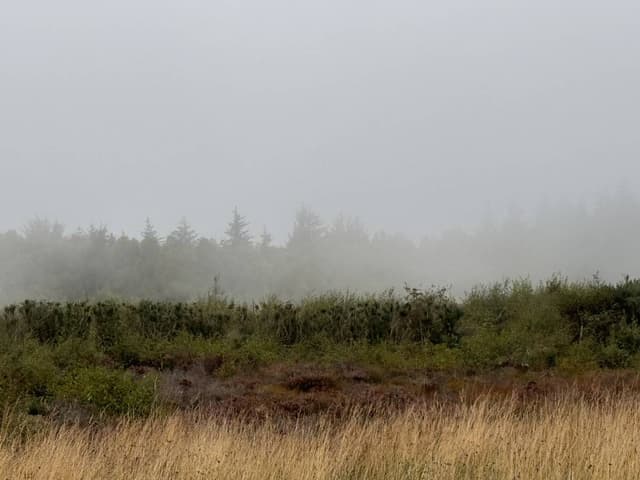 Photo 5 by Kim D. (9/17/24)