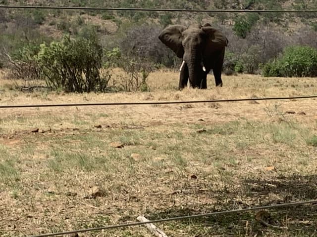 Photo 2 by Christine S. (11/10/22)