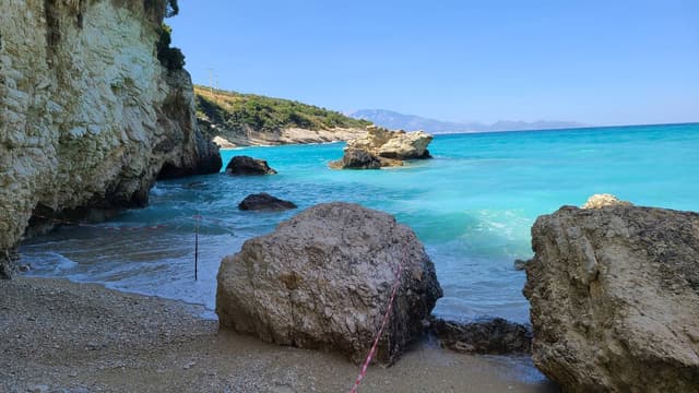 Photo 1 by Reza B. (5/3/24)