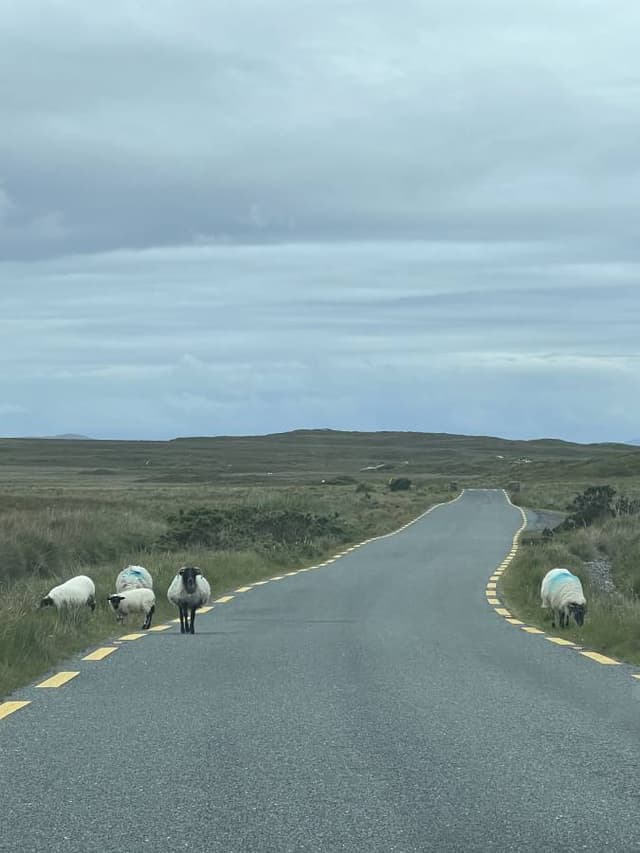 Photo 1 by Victoria D. (7/8/24)