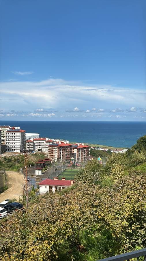 Photo by Mohammed A. (9/24/24)