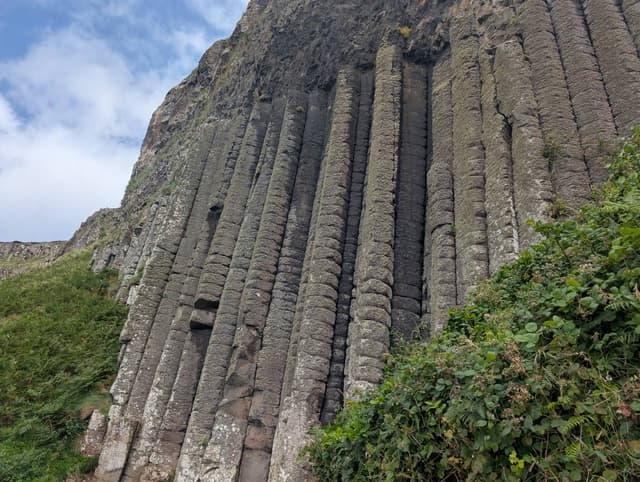 Photo 2 by YOSHIHIRO O. (8/10/25)