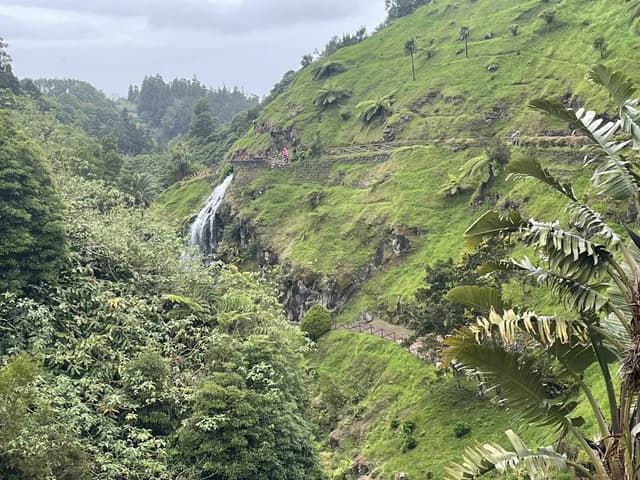 Photo 1 by Fernando P. (5/19/25)