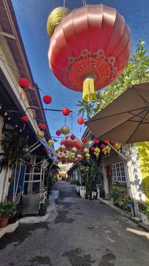 Photo 2 by Gary M. (10/12/25)