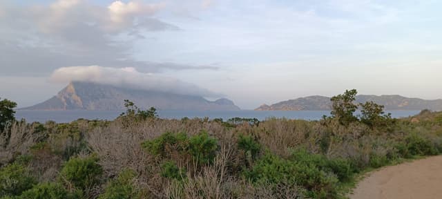 Foto 1 di Francesco Q. (24/02/25)