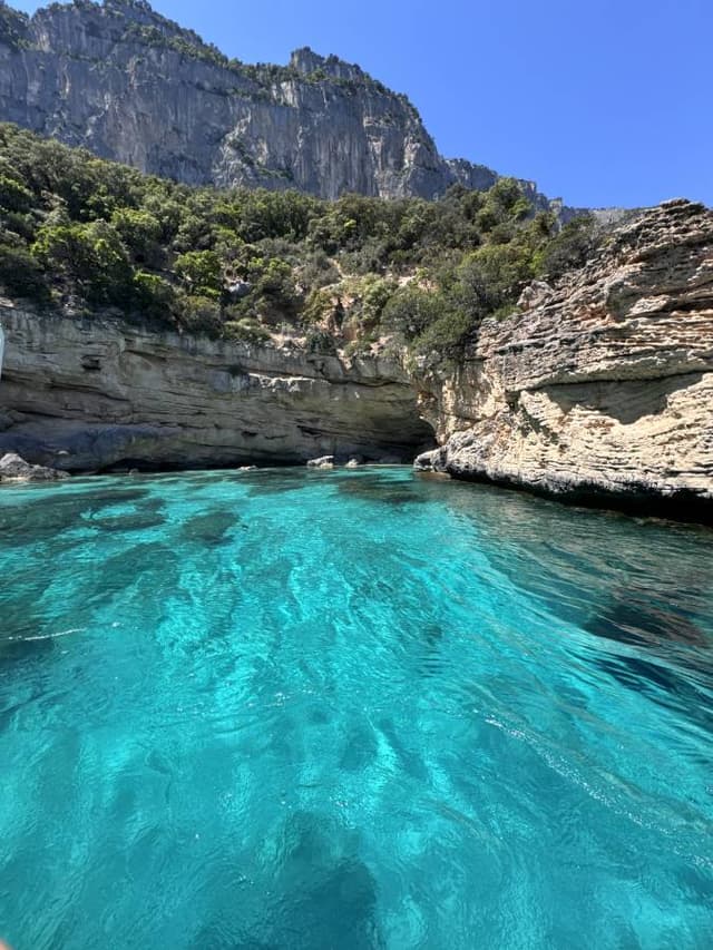 Photo 1 by Jorge G. (5/2/25)