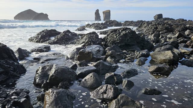 Photo 5 by Isabella V. (10/30/24)