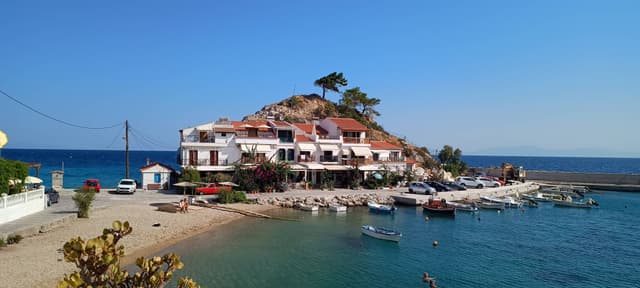 Photo 2 by Richard D. (8/13/24)