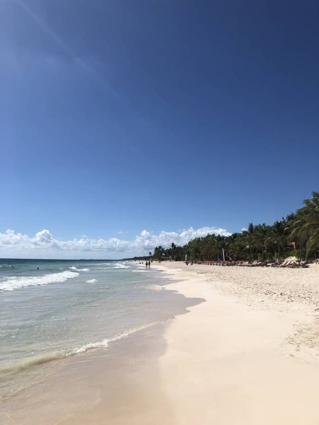 Photo 1 by Donna K. (11/16/22)