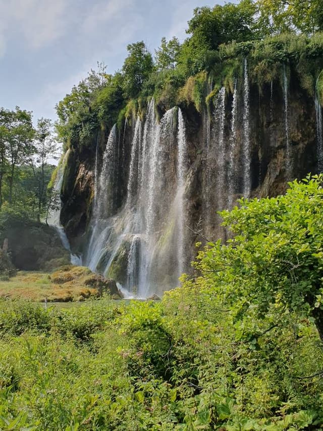 Henkilön Rauno T. kuva 2 (28.7.24)
