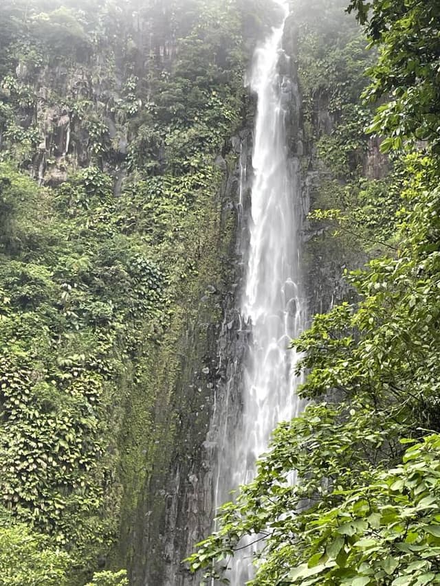 Photo 1 by Frans B. (8/19/22)