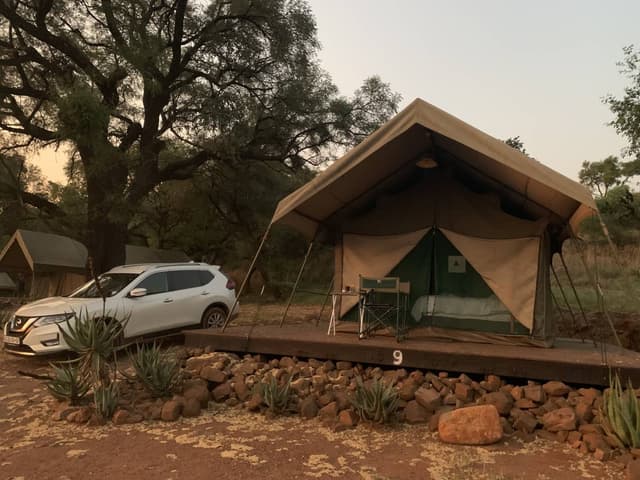 Photo 3 by Christine S. (11/10/22)