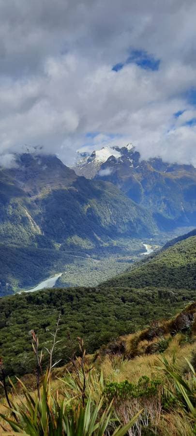 Photo 3 by Michael D. (2/5/26)