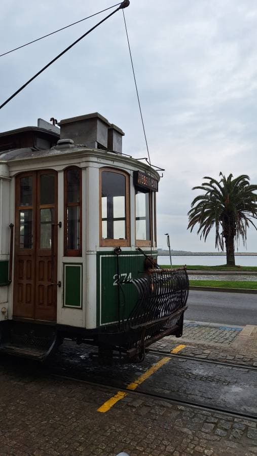 Foto 2 van Robin L. (20-4-25)