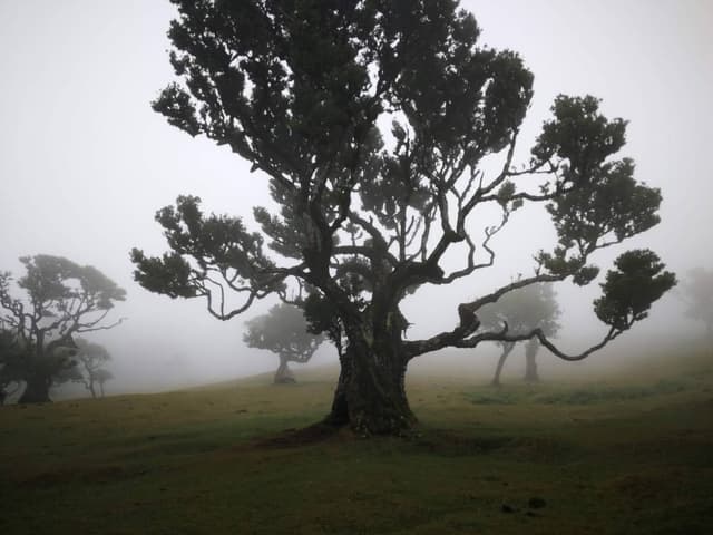 Photo 4 by Ravinder P. about hiring a Opel Corsa in Funchal (27/07/23)