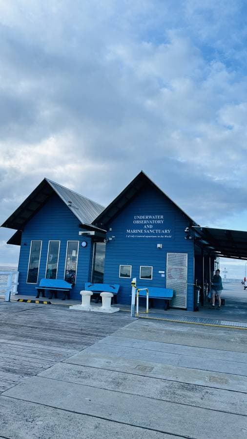 Photo 2 by Soma S. (10/31/25)