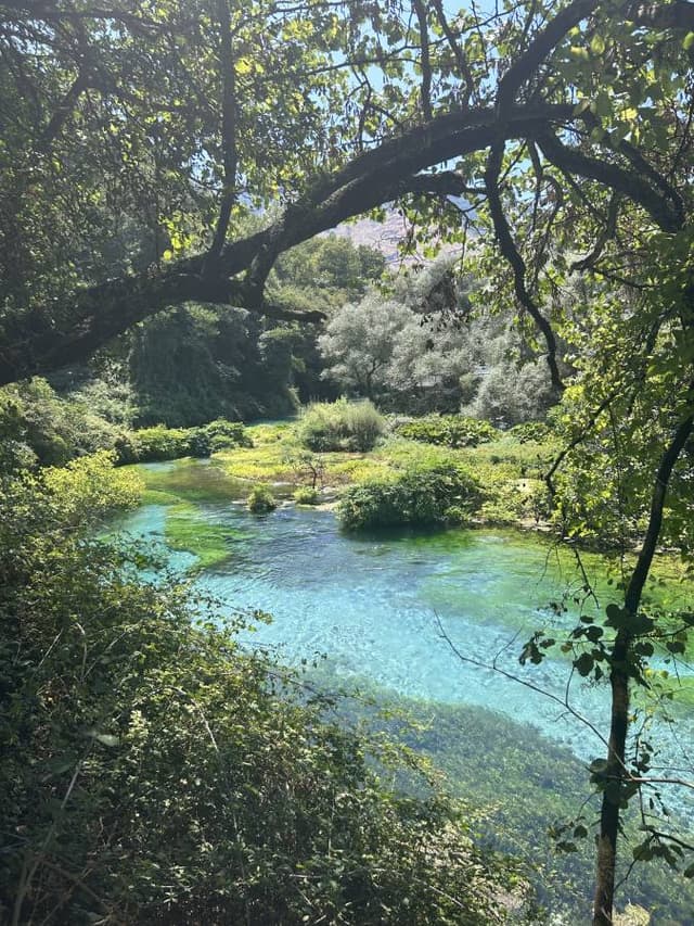 Foto 1 van Carmen D. (26-7-24)