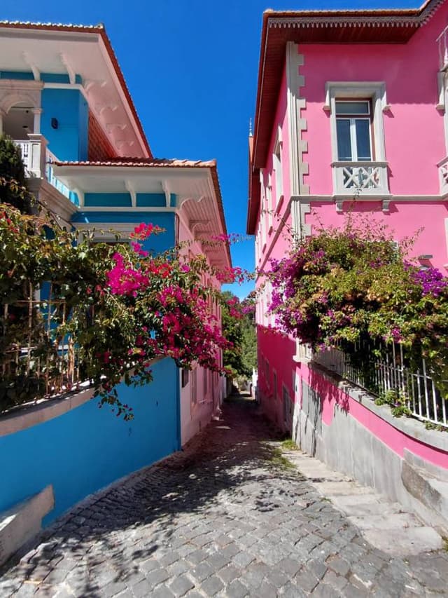 Foto 2 di Federico C. (31/08/25)