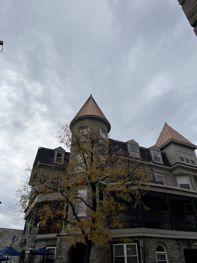 Photo 1 by Tara W. (10/31/23)